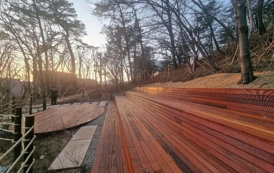 Sekyung High School forest, 2023–24 Designed and built by Urban Jungle