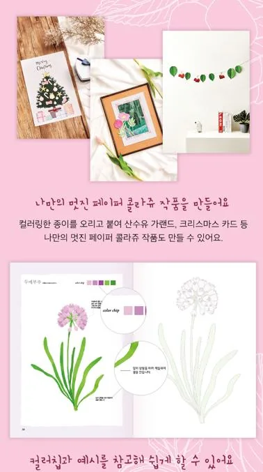 Plant Coloring & Collage Book (2022) · a published nature activity book